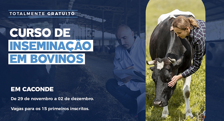 Capa da notícia